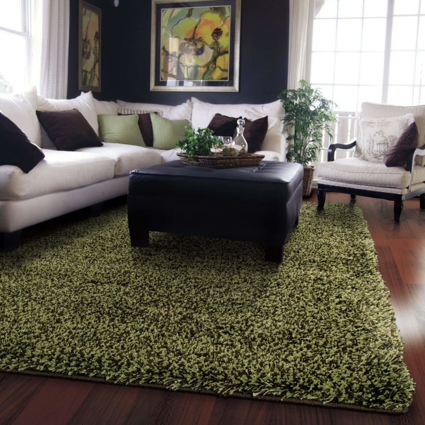 Shag Rugs For Living Room
 18 Types Area Rugs for Living Rooms Bedrooms Foyers