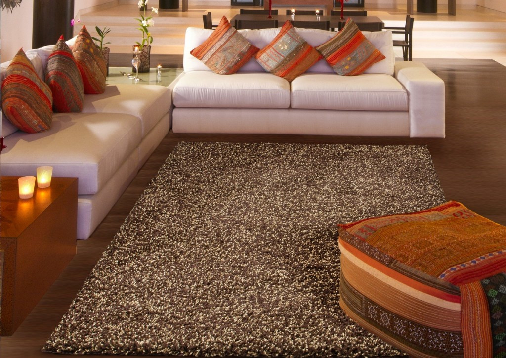 Shag Rugs For Living Room
 BEST 10 ADORABLE SHAG AREA RUGS FOR CHIC LIVING ROOM