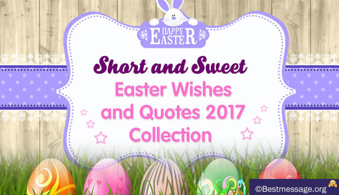 Short Easter Quotes
 Best Brother and Sister’s Day Wishes and
