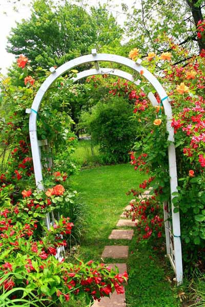 Small Patio Landscaping Ideas
 Roses for Beautiful Outdoor Decor Charming Garden Designs