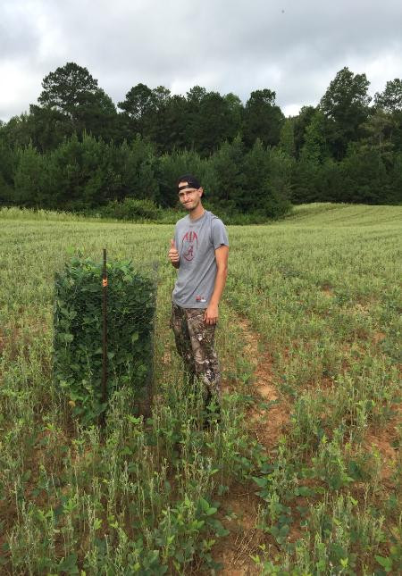 Summer Food Plots In The South
 EAGLE SEED TESTIMONIALS THE BEST FOOD PLOT PRODUCT ON THE