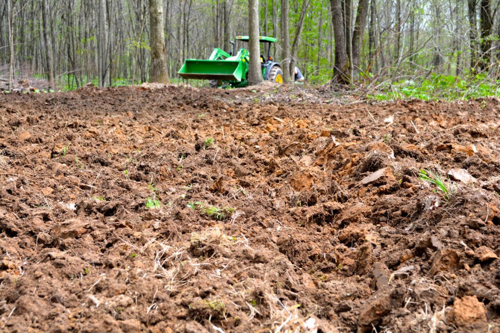 Summer Food Plots In The South
 The Best 5 Food Plots To Plant This Year