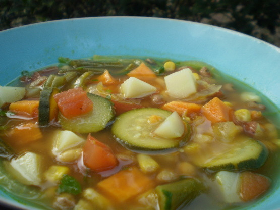 Summer Vegetable Soup Recipe
 Summer Ve able Soup Recipe Genius Kitchen