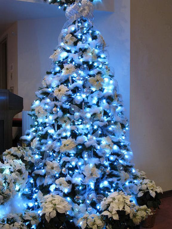 Unique Christmas Trees Ideas
 30 Traditional And Unusual Christmas Tree Décor Ideas