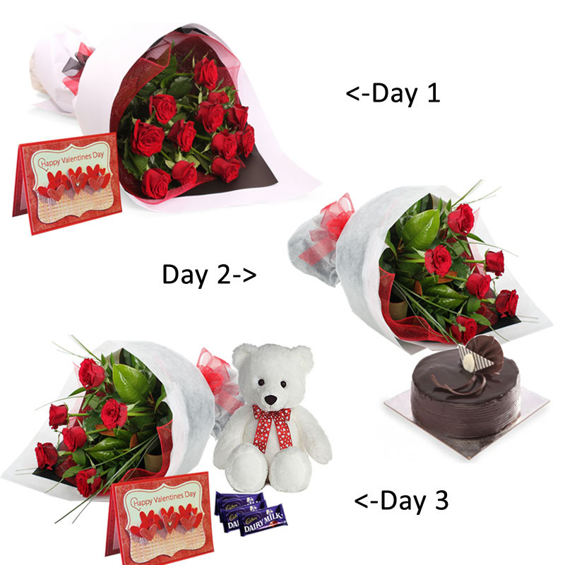 Valentines Day Delivery Gifts
 Send Valentine’s Day Gifts to Mysore