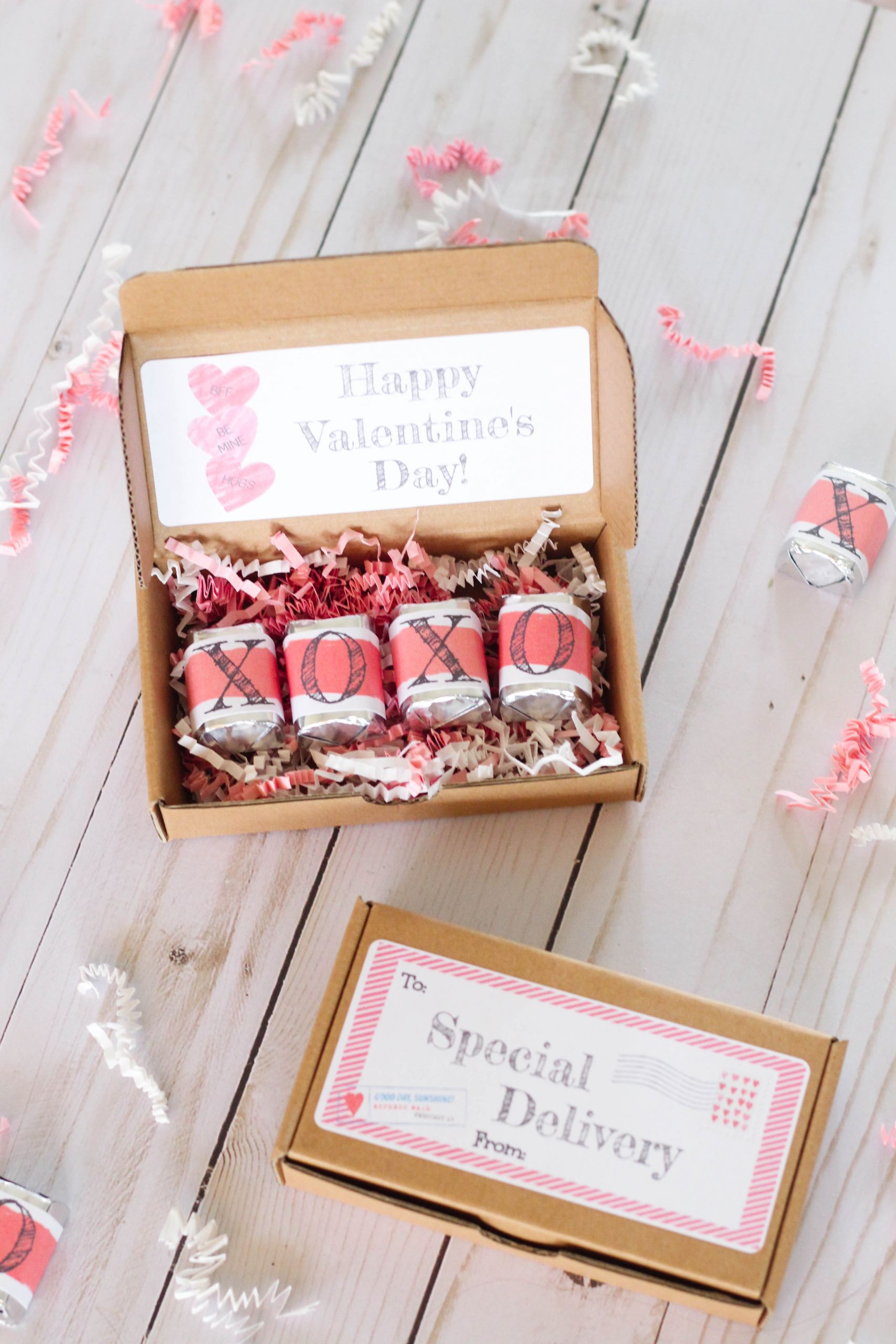 Valentines Day Delivery Gifts
 Special Delivery Valentine s Day Gift for Classmates