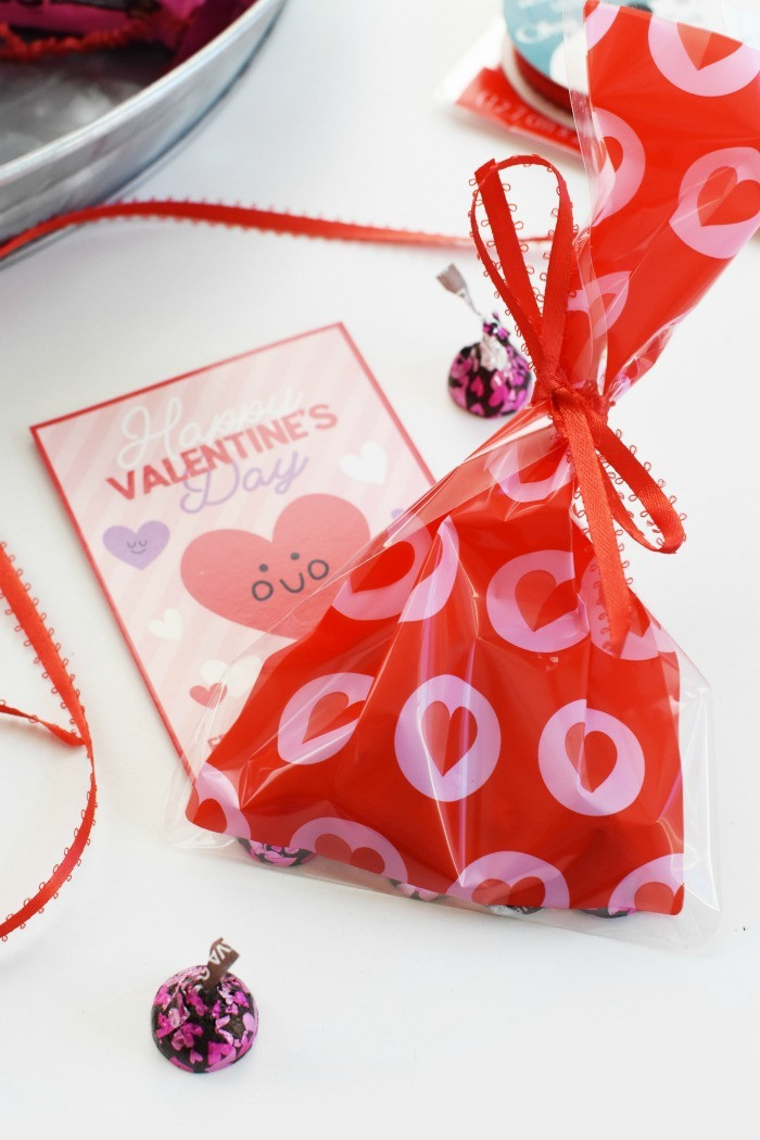 Valentines Day Gift Bags
 Cute Homemade Valentines Day Gift Ideas Inexpensive and