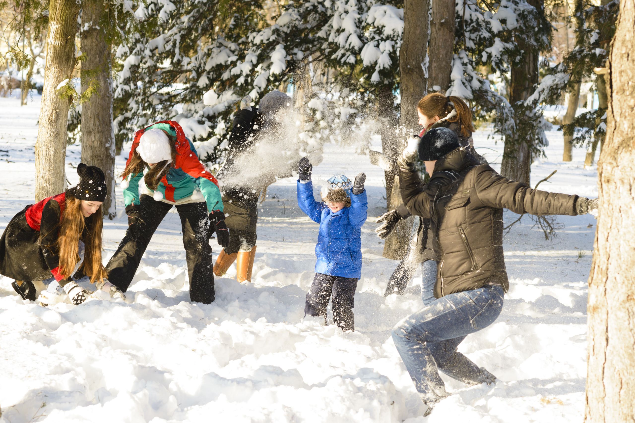 Winter Family Activities
 Explore NYC with Child Friendly Winter Family Activities