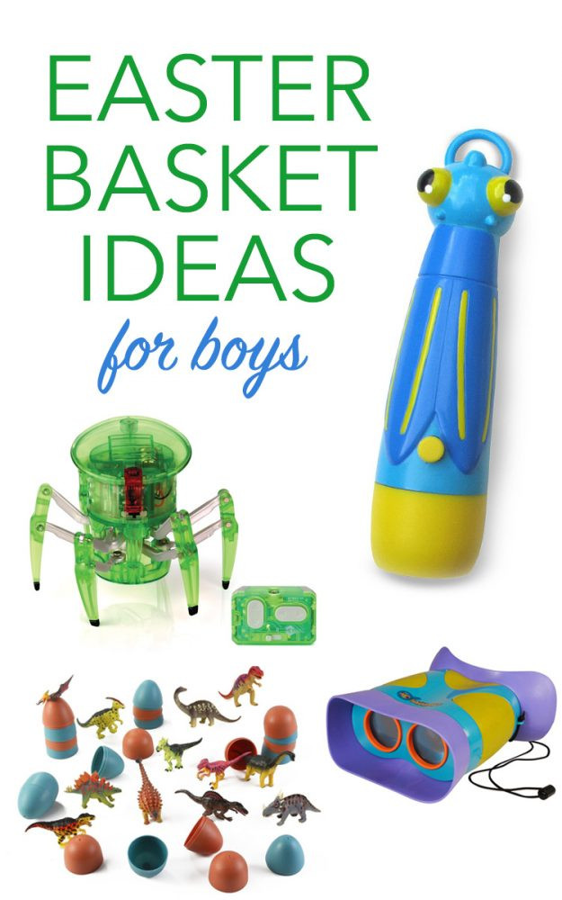 Boy Easter Basket Ideas
 Top 10 Classic Easter Basket Filler Ideas for Little Boys