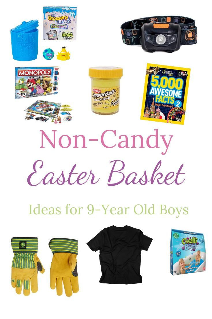 Easter Basket Ideas For 4 Year Old Boy
 Non Candy Easter Basket Ideas for 9 Year Old Boys