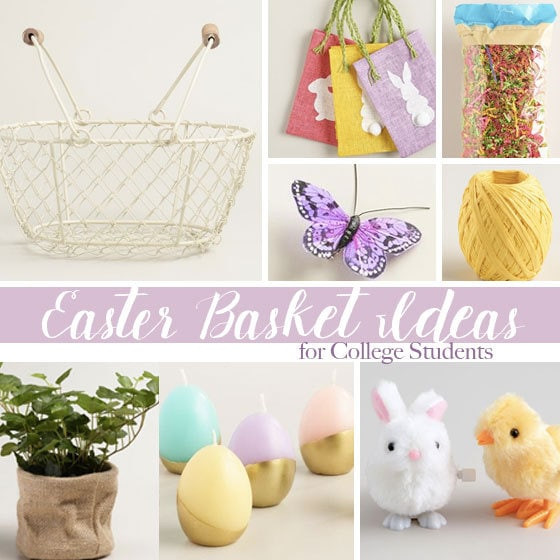 Easter Basket Ideas For College Students
 Easter Basket Ideas for College Students 100 Directions