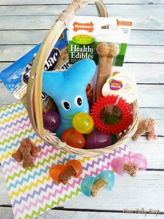 Easter Basket Ideas For Dogs
 DIY Easter Basket for Dogs Day 7 12Days Easter