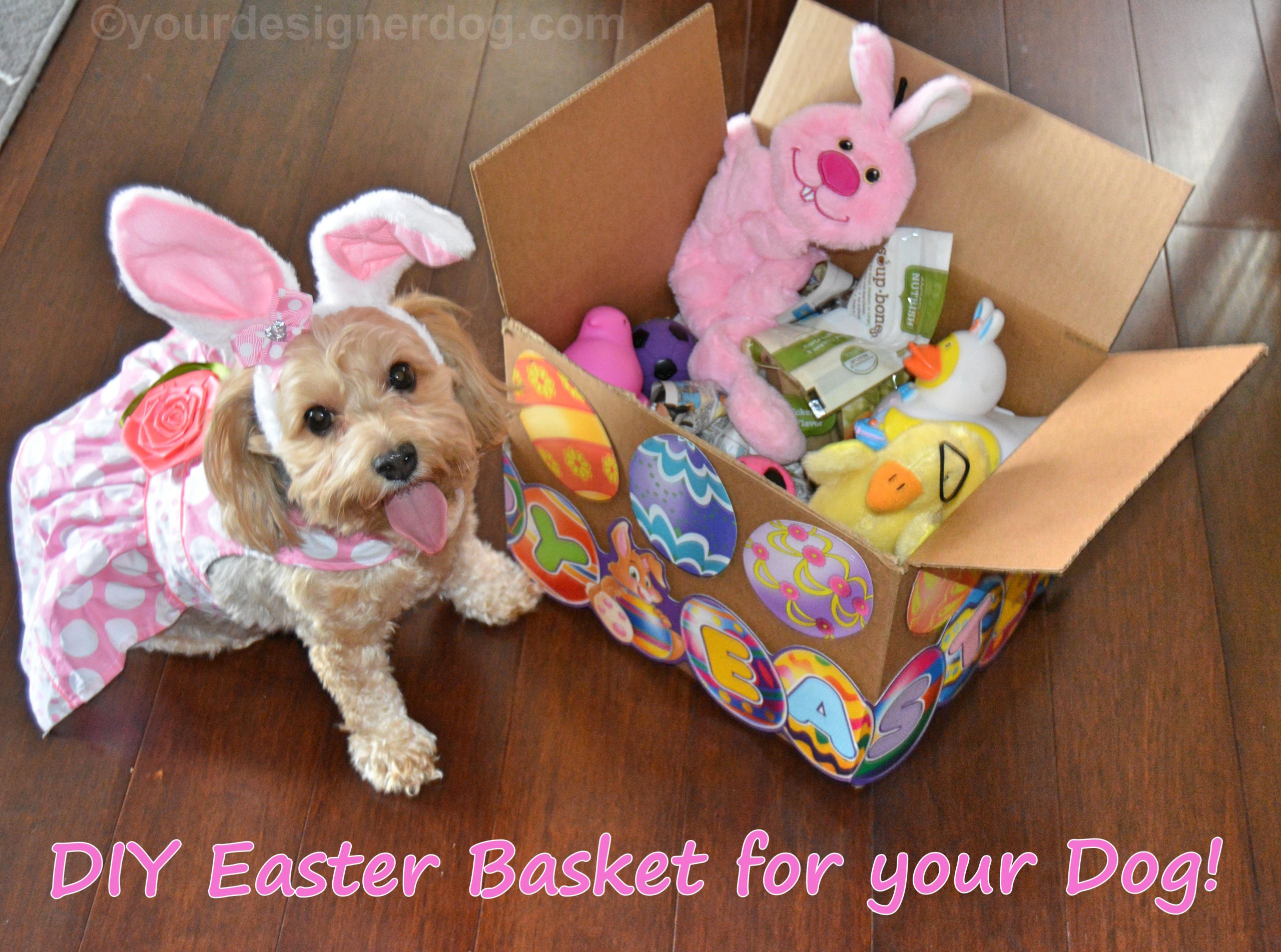 Easter Basket Ideas For Dogs
 A DIY Easter Basket Your Dog Will Love YourDesignerDog