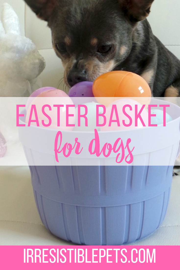 Easter Basket Ideas For Dogs
 DIY Easter Basket for Dogs Irresistible Pets
