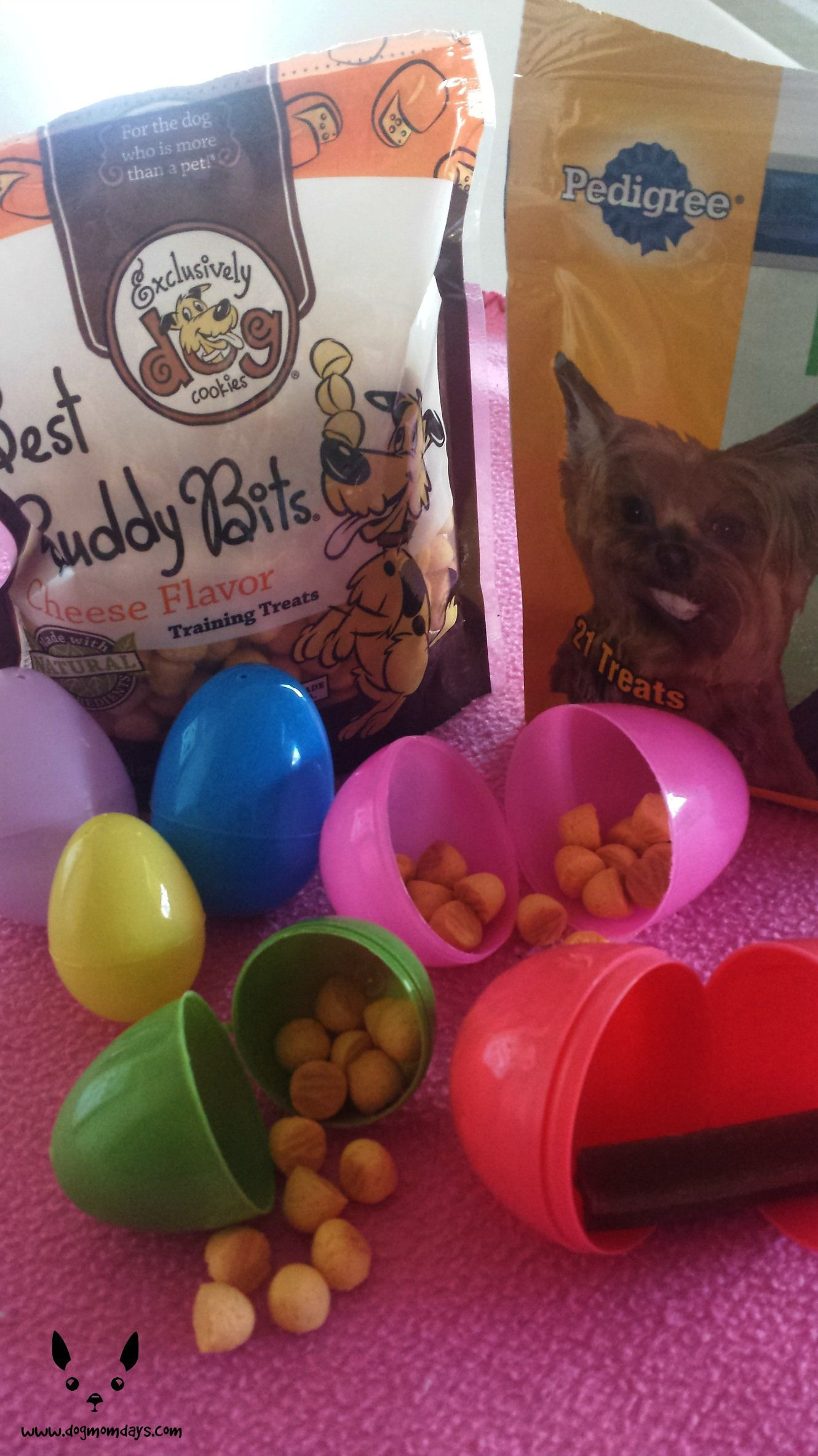 Easter Basket Ideas For Dogs
 DIY Doggy Easter Basket Dog Mom Days