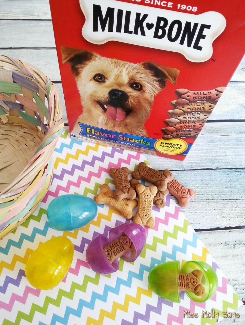 Easter Basket Ideas For Dogs
 DIY Easter Basket for Dogs Miss Molly Says