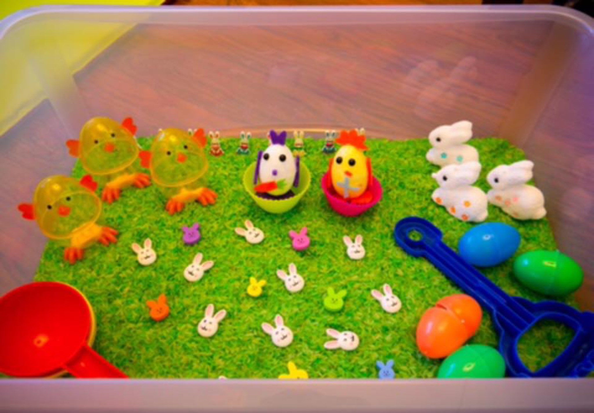 Easter Play Ideas
 Messy play ideas Special Needs and Sensory play Ideas