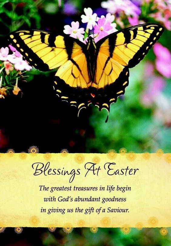 Easter Poems And Quotes
 Blessings At Easter s and for