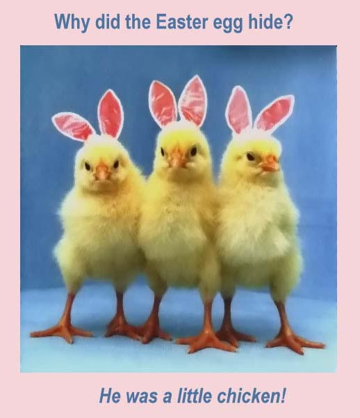 Easter Quotes Funny
 Quotes and Sayings Happy Easter Funny Quotes Eggs and Rabbits