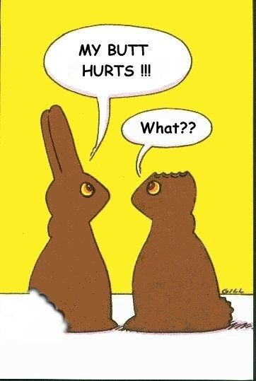 Easter Quotes Funny
 20 Funny Easter Quotes