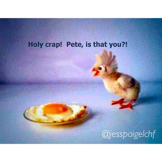 Easter Quotes Funny
 Jess on Instagram “Haha 😂😂 Good morning everyone Just a