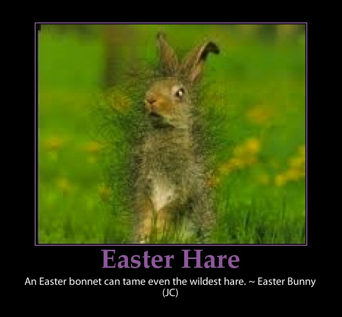 Easter Quotes Funny
 Quotes and Sayings Happy Easter Funny Quotes Eggs and Rabbits