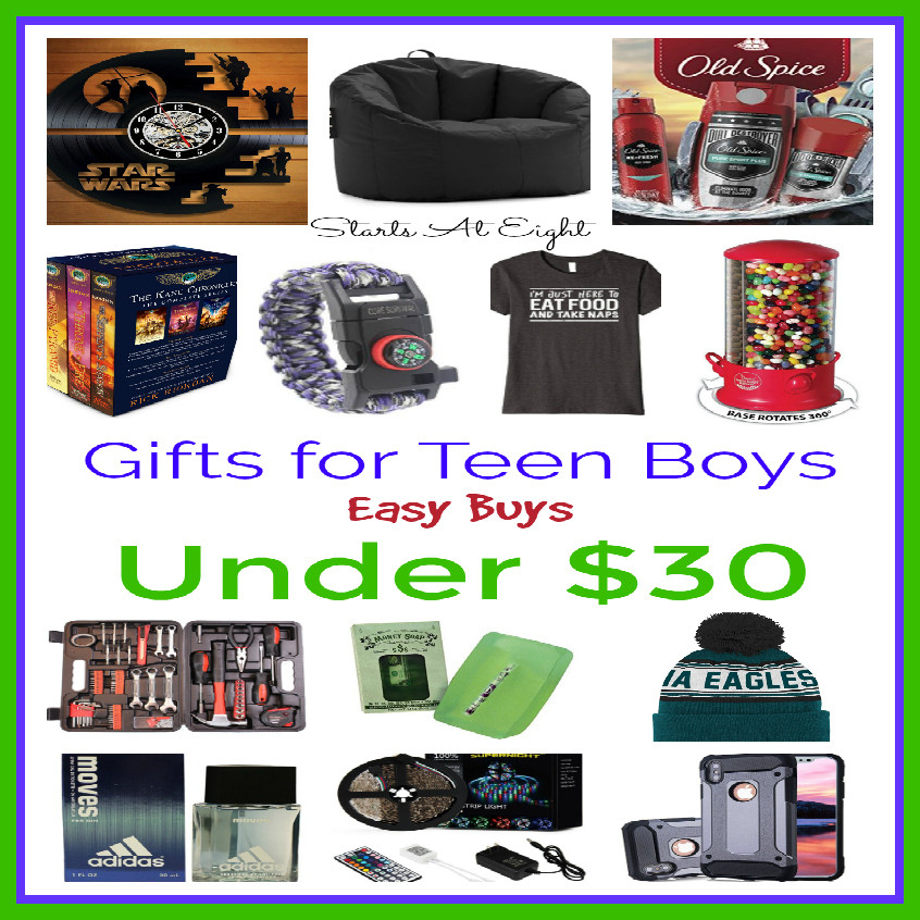 Small Gift Ideas For Boys
 Gifts for Teen Boys Easy Buys Under $30 StartsAtEight