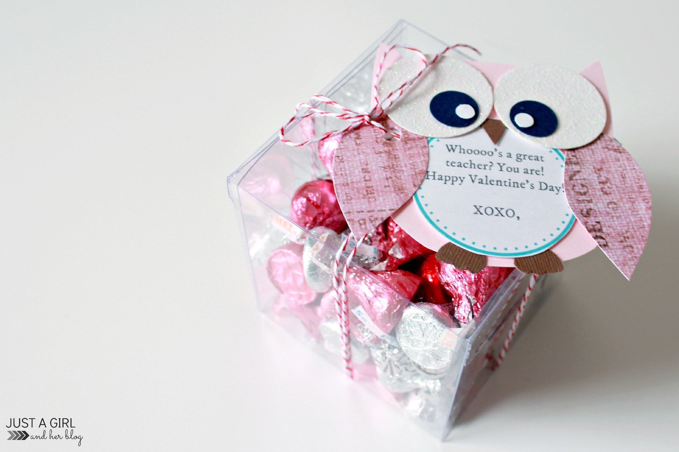 Teacher Valentines Gift Ideas
 Owl Valentine Teacher Gift